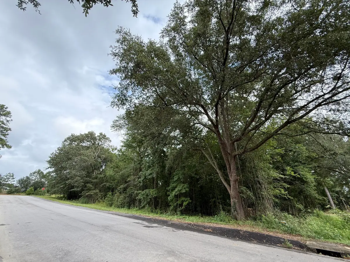 0000 Live Oak Lane, Barnwell, SC 29812 - #1