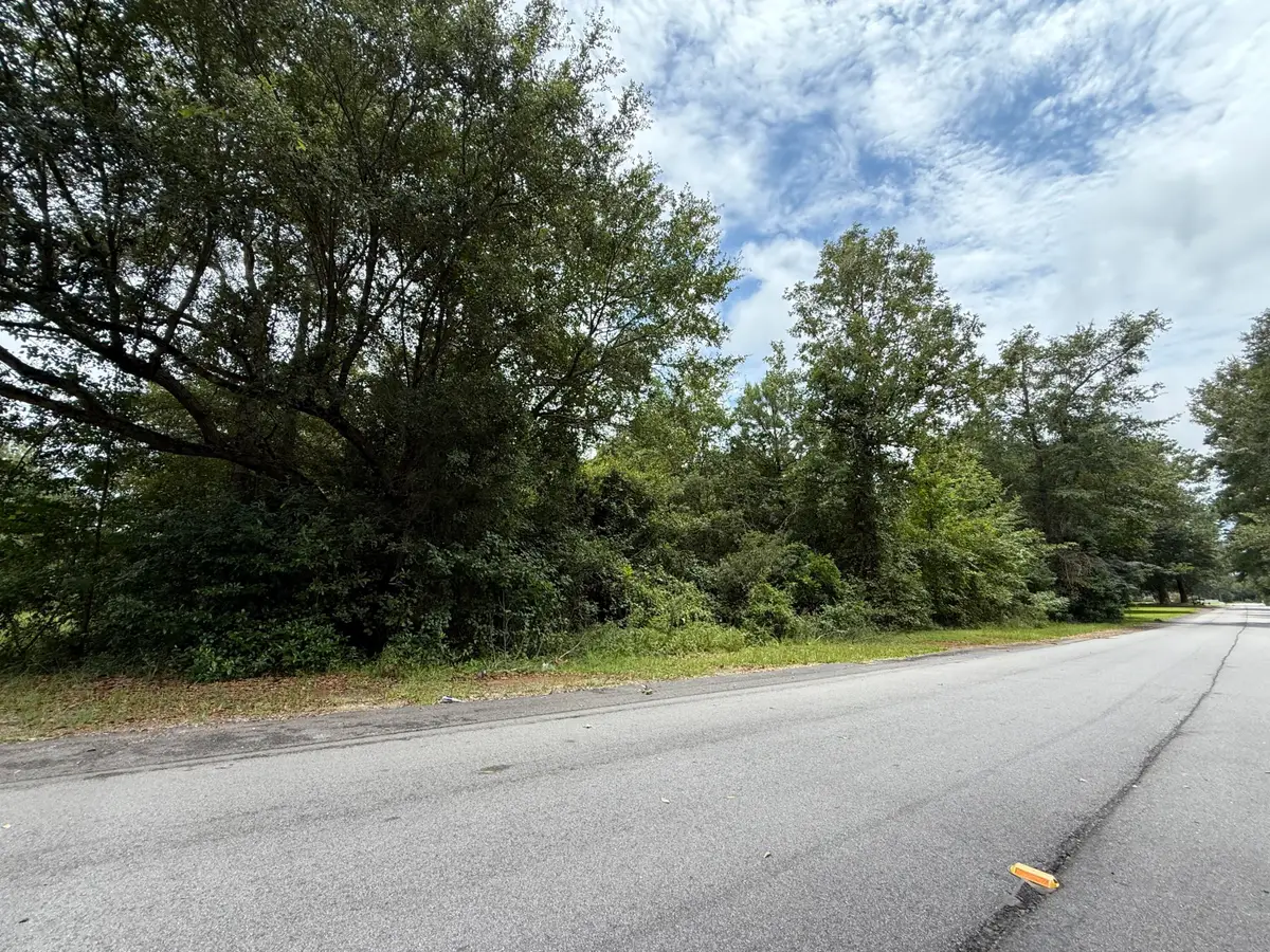 0000 Summer Drive, Barnwell, SC 29812 - #1