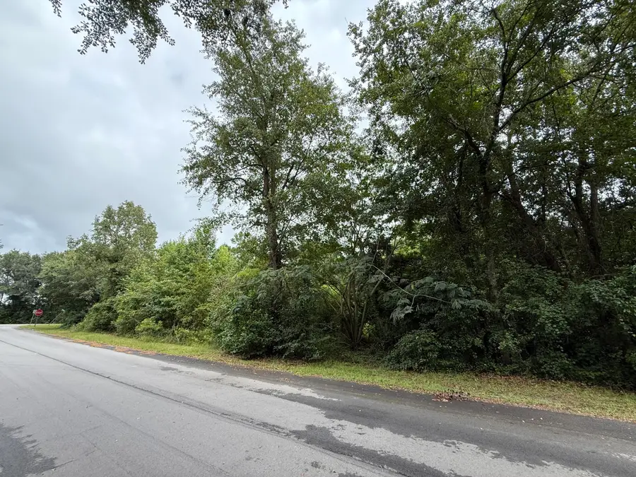 0000 Summer Drive, Barnwell, SC 29812 - #2