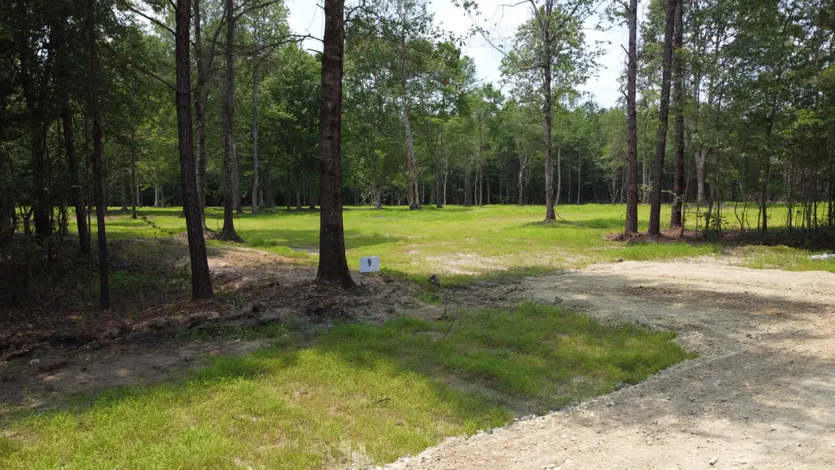 9 Steed Creek Road, Huger, SC 29450 - #1