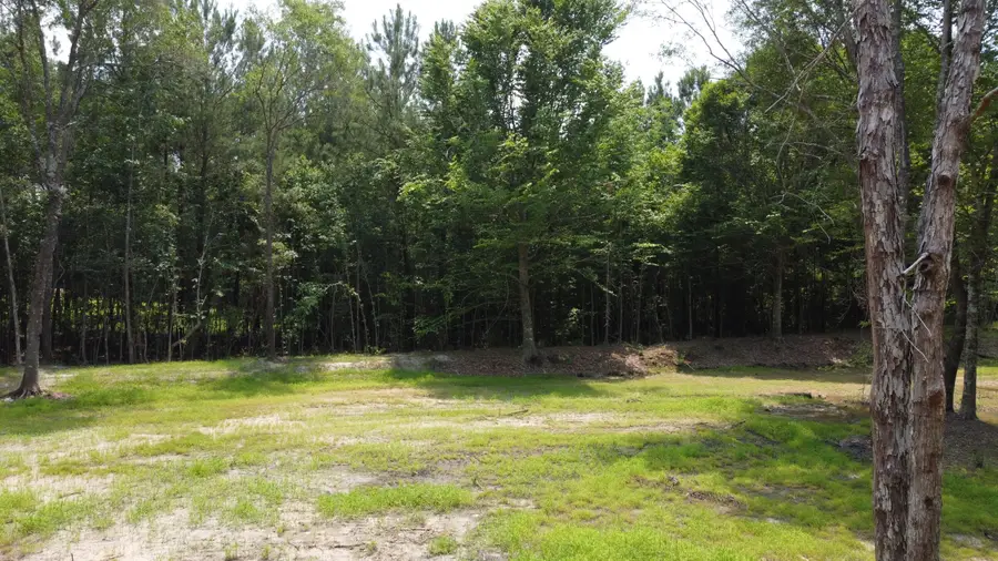 9 Steed Creek Road, Huger, SC 29450 - #2