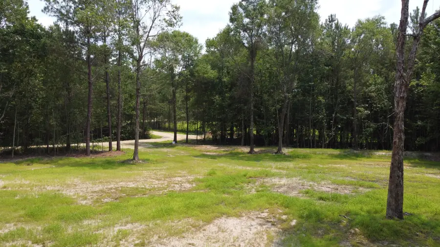9 Steed Creek Road, Huger, SC 29450 - #3