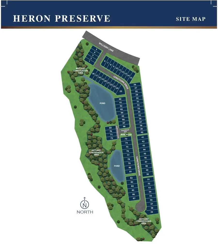 7353 Longtown Drive, Hanahan, SC 29410 - Image #3