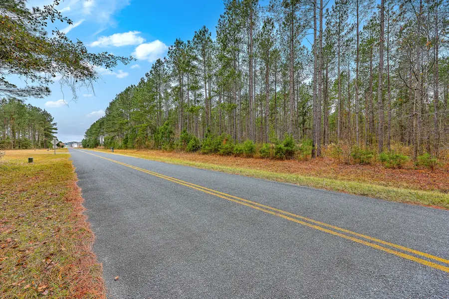 00 Shuler Belt Road, Holly Hill, SC 29059 - #2