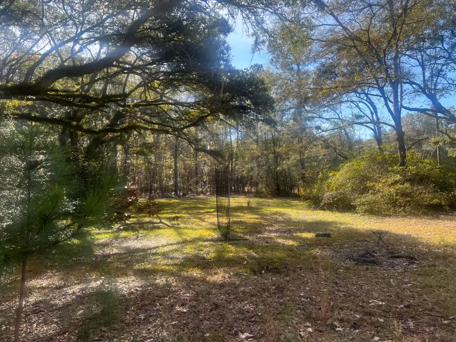 5520 Highway 165, Hollywood, SC 29449 - Image #3