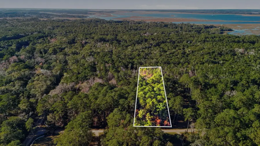 7787 Chaplin Garden Lane, Edisto Island, SC 29438 - #2