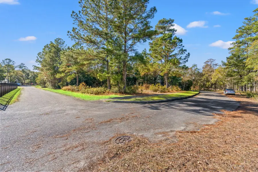 Tbd Warham Drive Drive, Georgetown, SC 29440 - Image #2