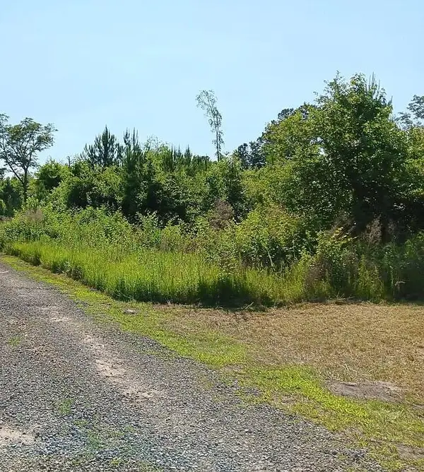 0 Primus Drive, Saint George, SC 29477