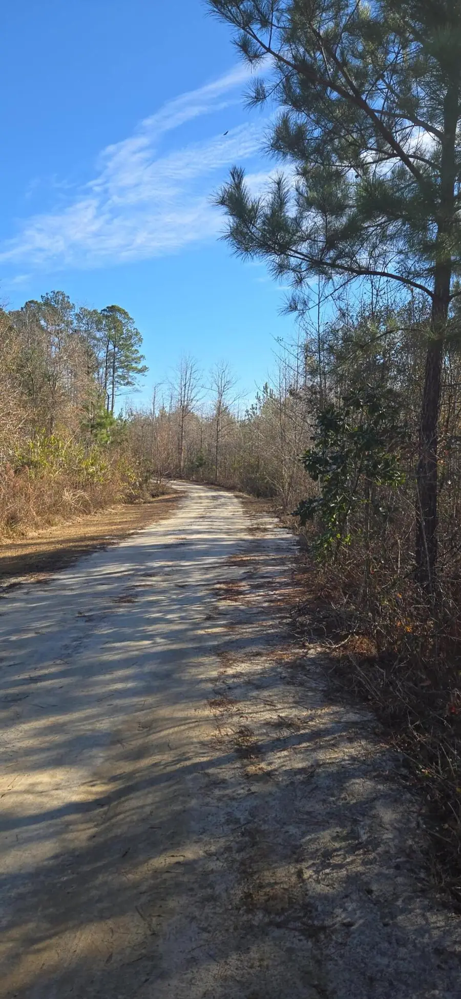 00 Primus Drive, Saint George, SC 29477 - #2