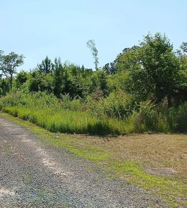 00 Primus Drive, Saint George, SC 29477 - #3