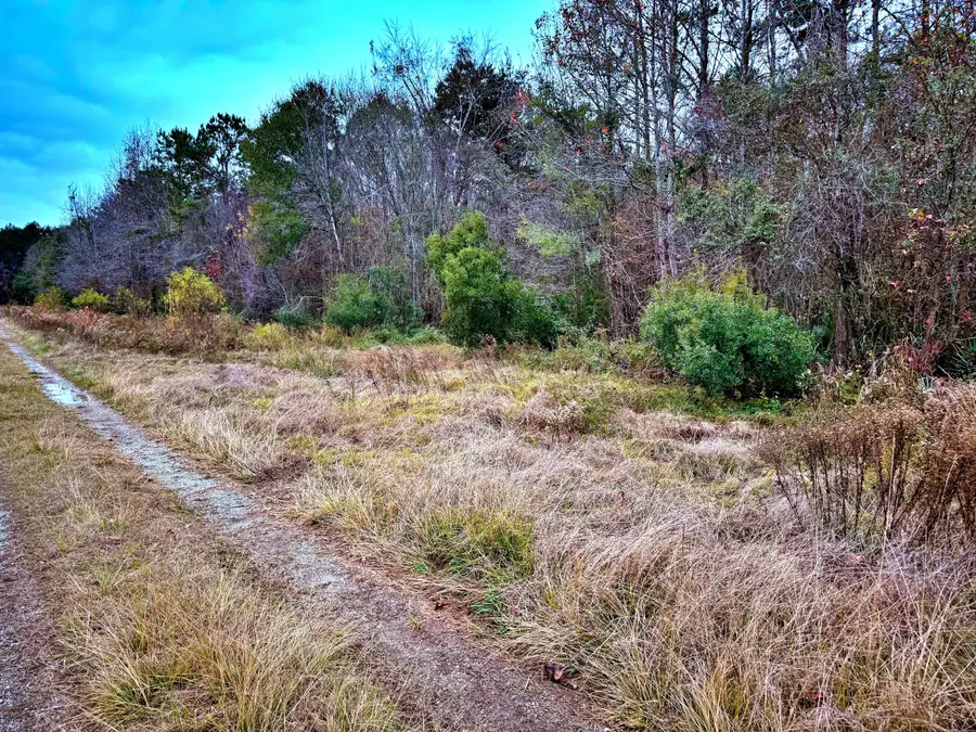 1215 Sandy Run Circle, Summerville, SC 29486 - Image #3