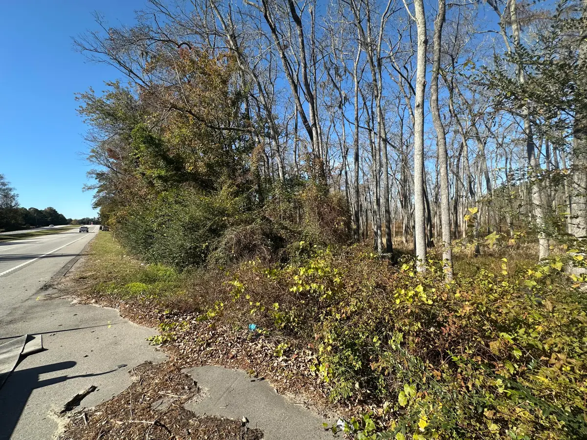 00 Five Chop Road, Elloree, SC 29047 - Image #1