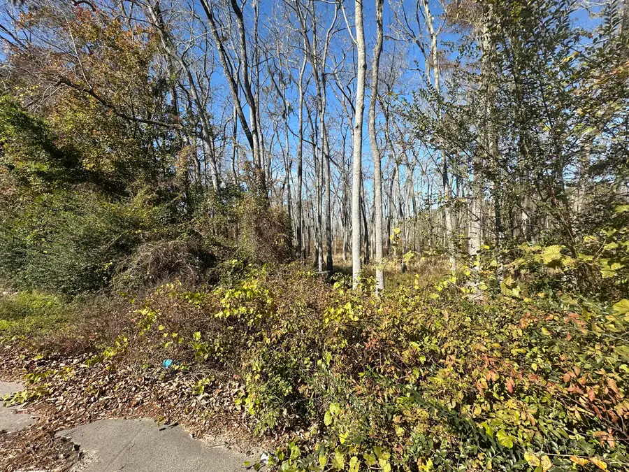 00 Five Chop Road, Elloree, SC 29047 - Image #2