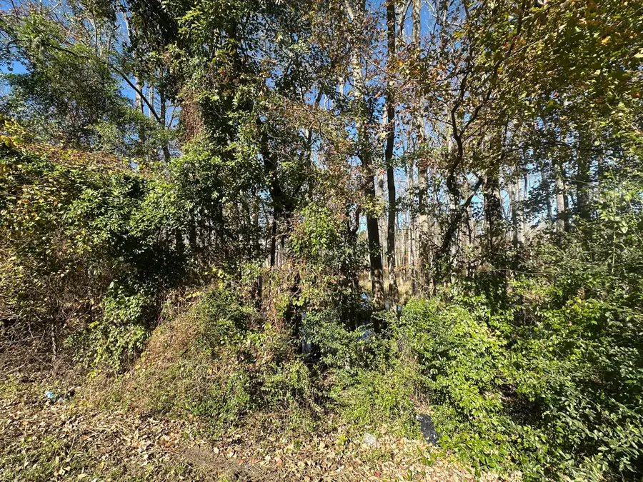 00 Five Chop Road, Elloree, SC 29047 - Image #3