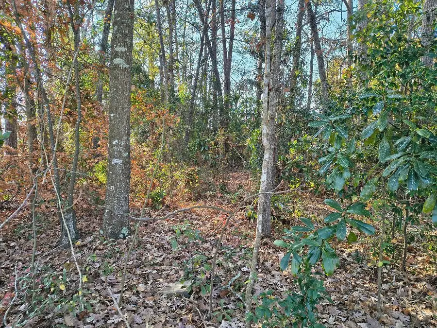 0 Pointer Lane, Summerville, SC 29485 - #2