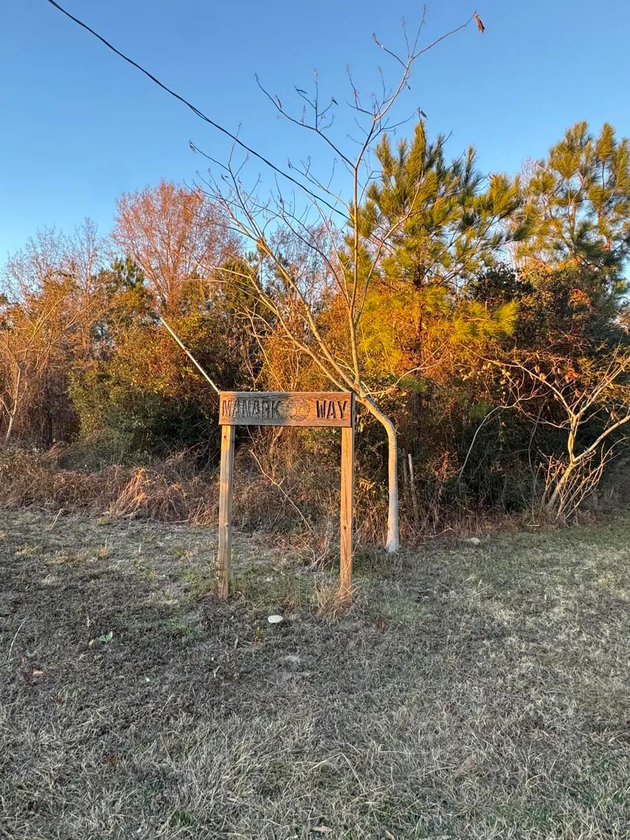 13671 Old Number Six Hwy Highway, Eutawville, SC 29048 - Image #2