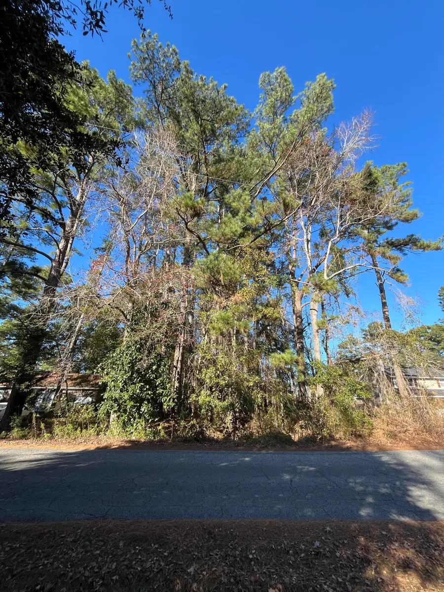 228 Wilson Drive, Summerville, SC 29483 - Image #2