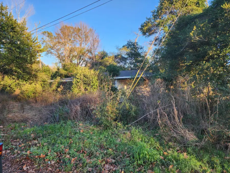 58 Grayson Street, Brunson, SC 29911 - Image #2