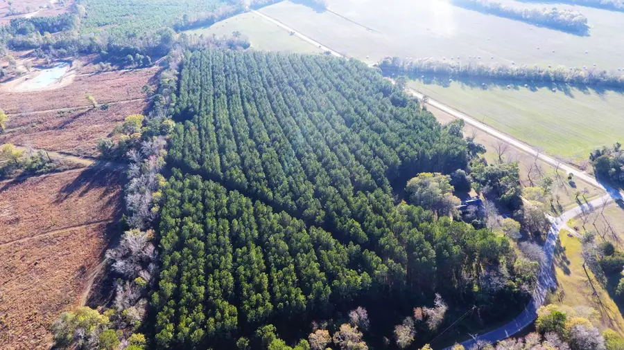 000 Broughton (lot E) Lane, Eutawville, SC 29048 - Image #3