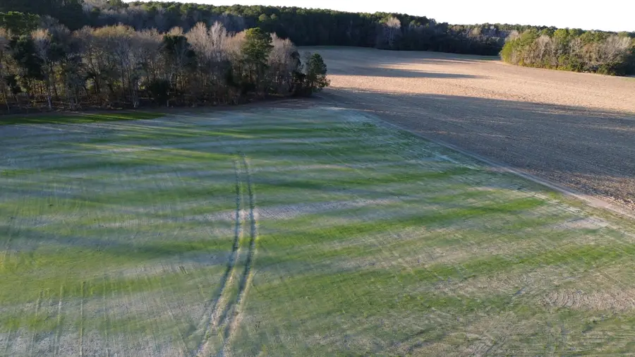 3 Highway 52, Saint Stephen, SC 29479 - Image #3