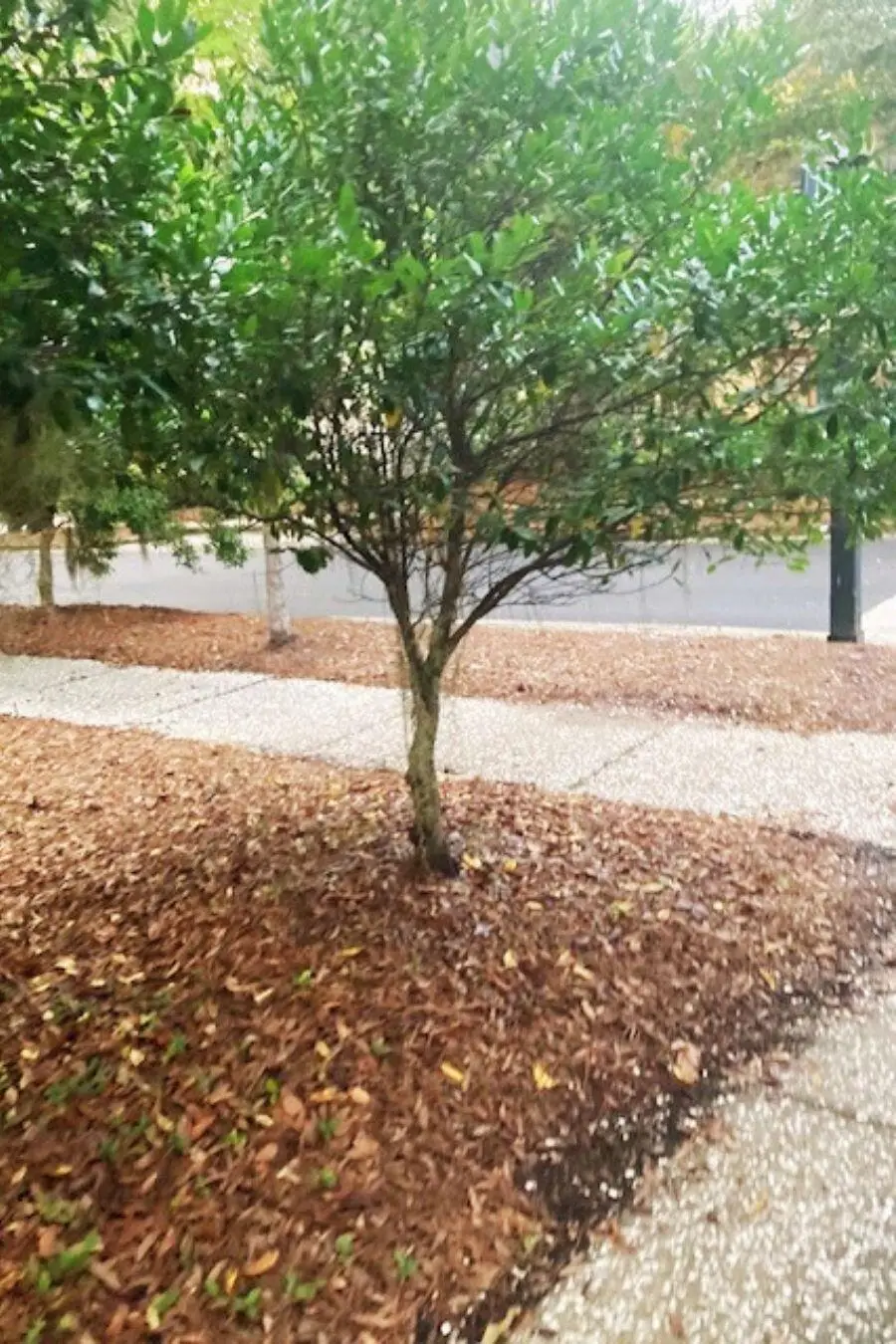 8 Wild Spartina Street, Bluffton, SC 29910 - Image #1