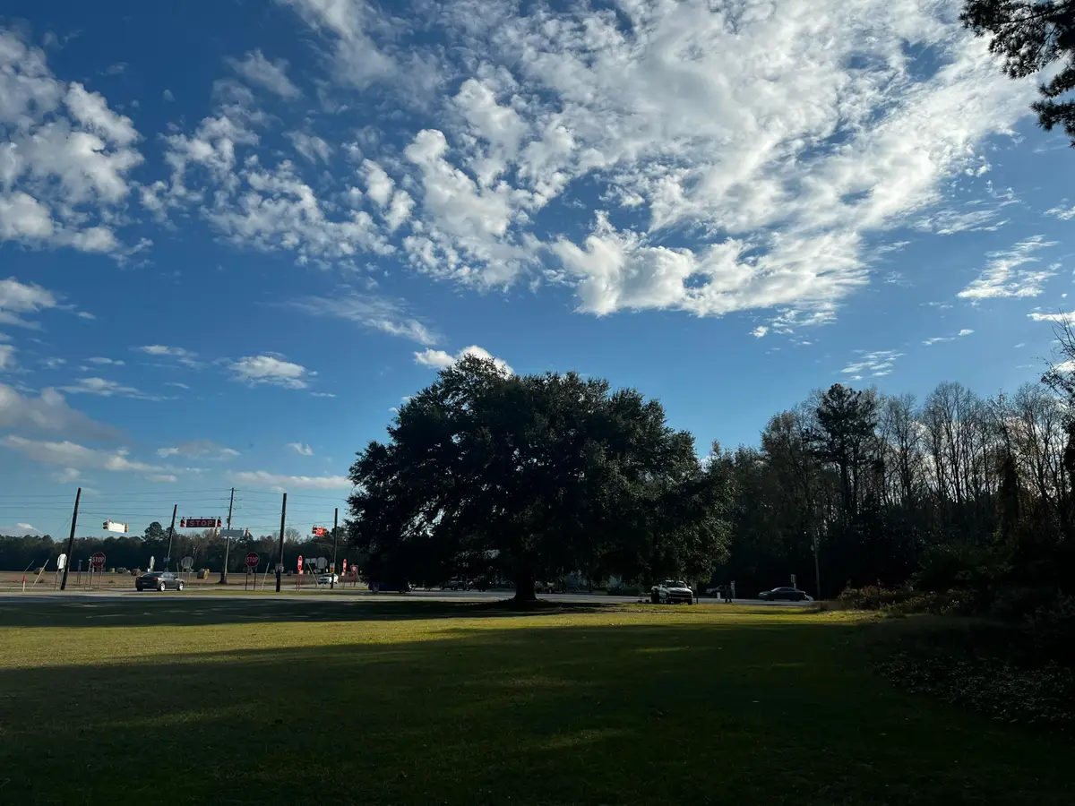 12703 Lowcountry Highway, Ruffin, SC 29475 - Image #1