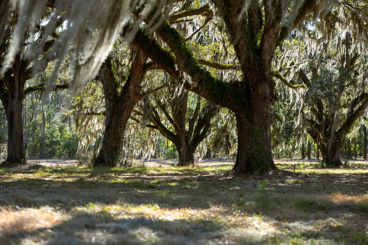 5 Mauricena Road, Georgetown, SC 29440 - Image #1