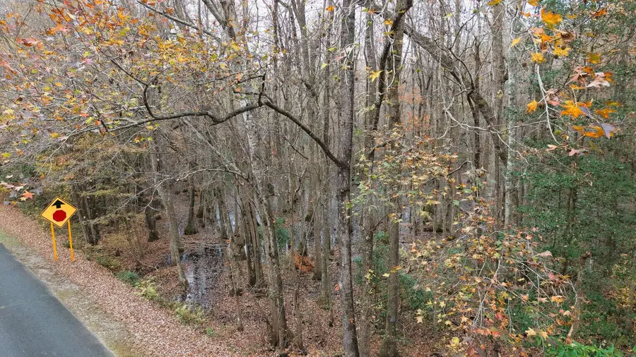 00 Betsy Hole Road, Bonneau, SC 29431 - Image #2