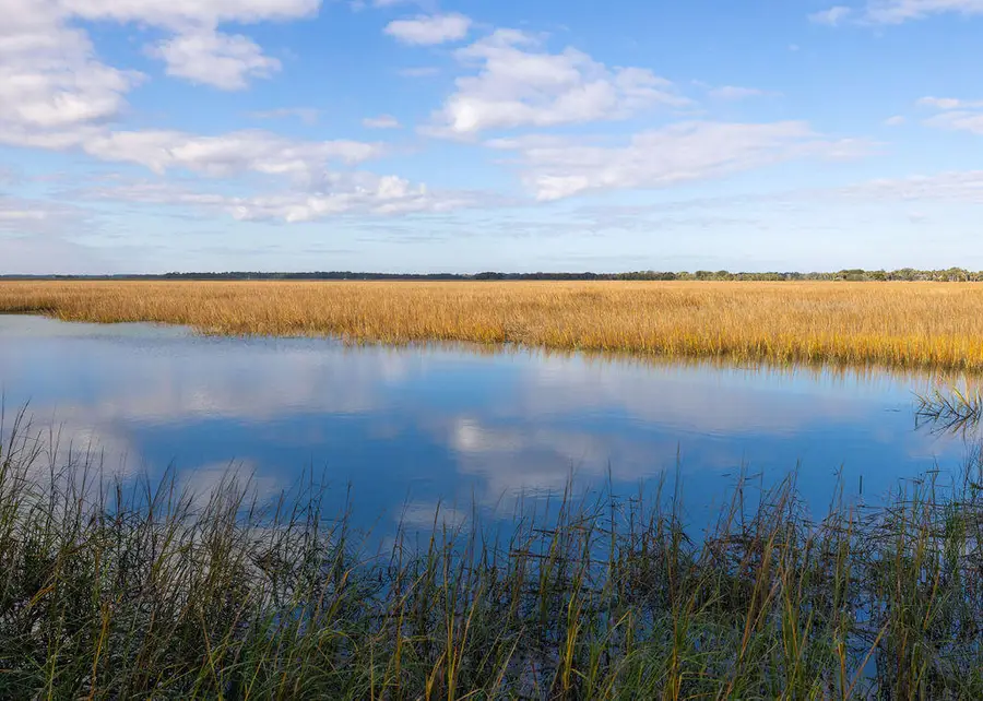 2393 Folly Road #1a, Folly Beach, SC 29439 - Image #3