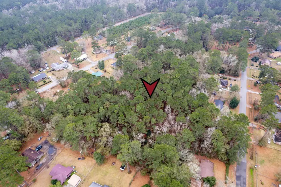 Lot 21 Gadsden Loop, Walterboro, SC 29488 - #3