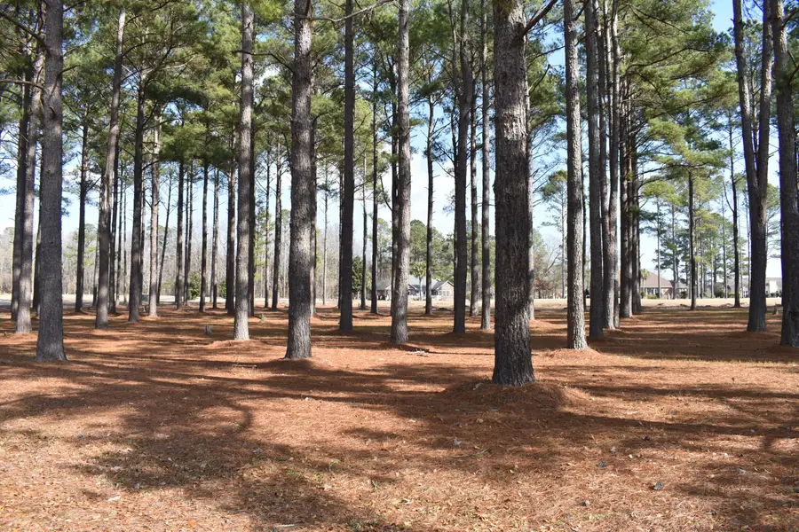 400 Pine Lake Court, Manning, SC 29102 - #2