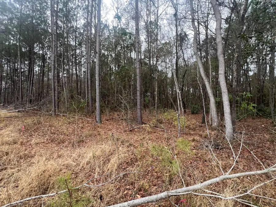 000 Hunters Ridge Lane, North Charleston, SC 29420 - #2