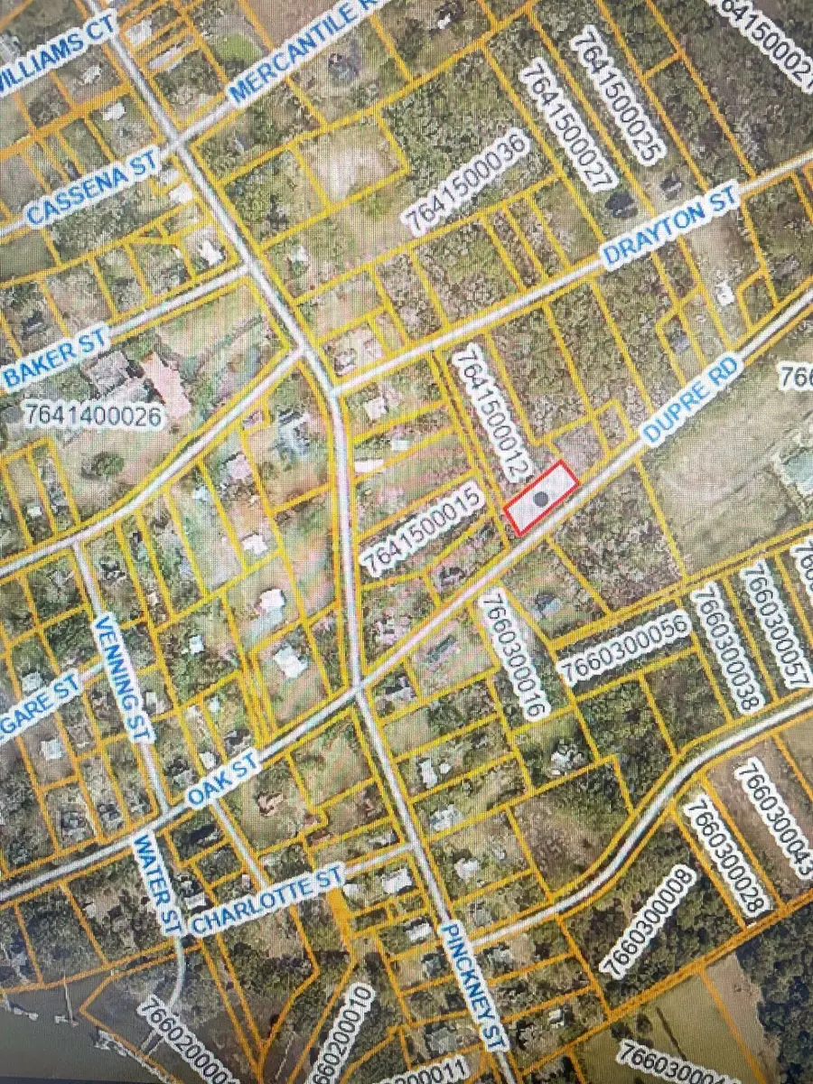 332 Dupre Road, McClellanville, SC 29458 - #2