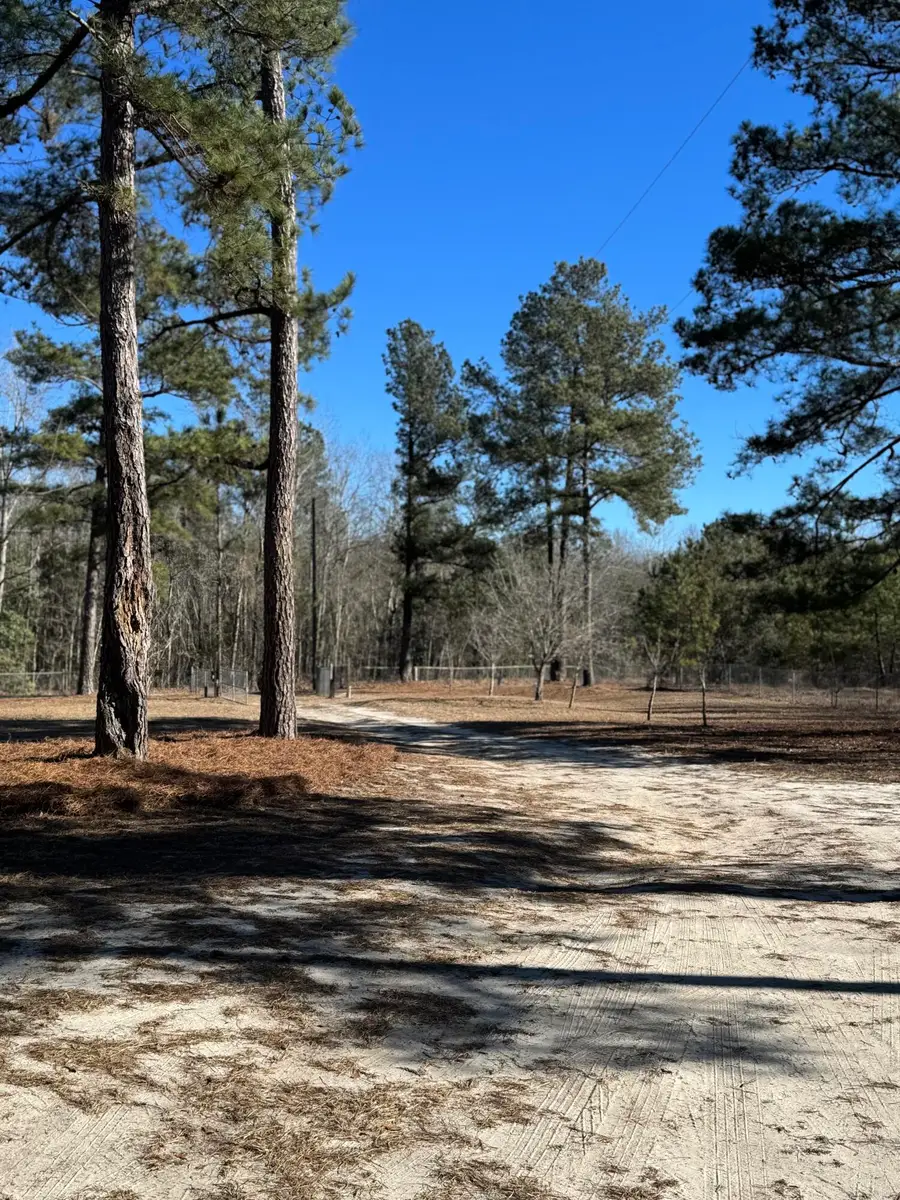 481 Butler Drive, Livingston, SC 29107 - Image #3