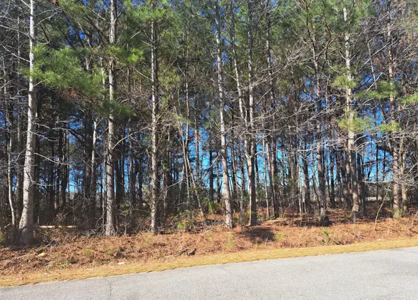 01 Antioch, Santee, SC 29142