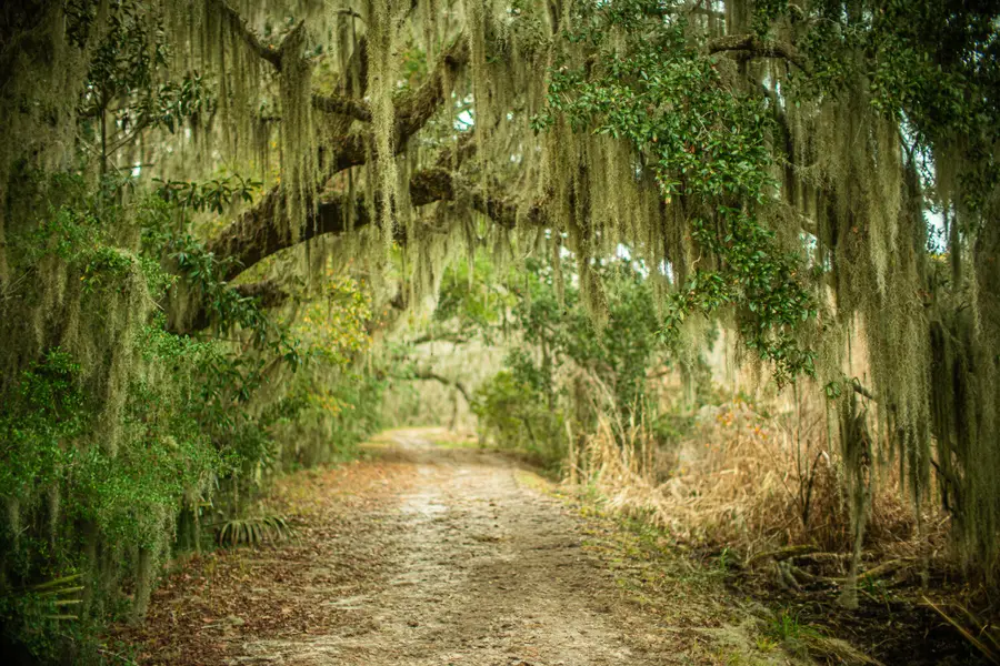 19 Middleton Oaks Road, Charleston, SC 29414 - #3