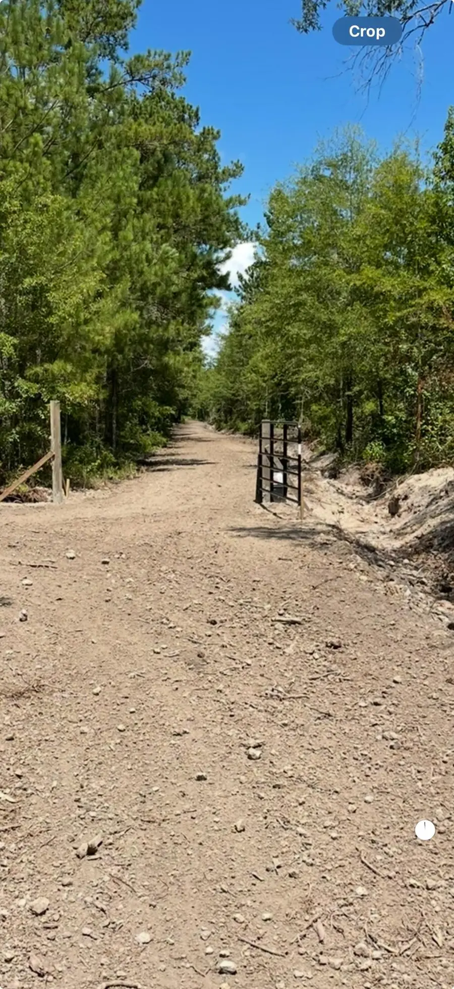 Tbd House Road, Summerton, SC 29148 - #2