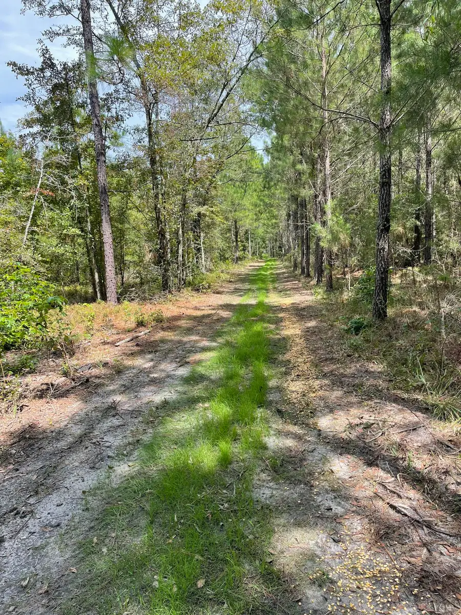 Tbd House Road, Summerton, SC 29148 - #3