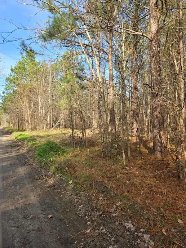 00 Whitestone Drive, Reevesville, SC 29471