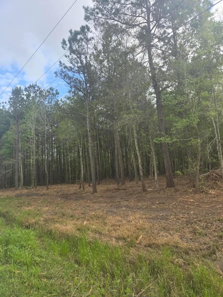 00 Whitestone Drive, Reevesville, SC 29471 - #2