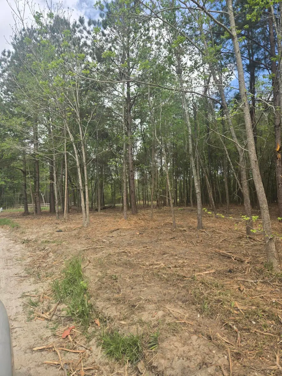 00 Whitestone Drive, Reevesville, SC 29471 - #3