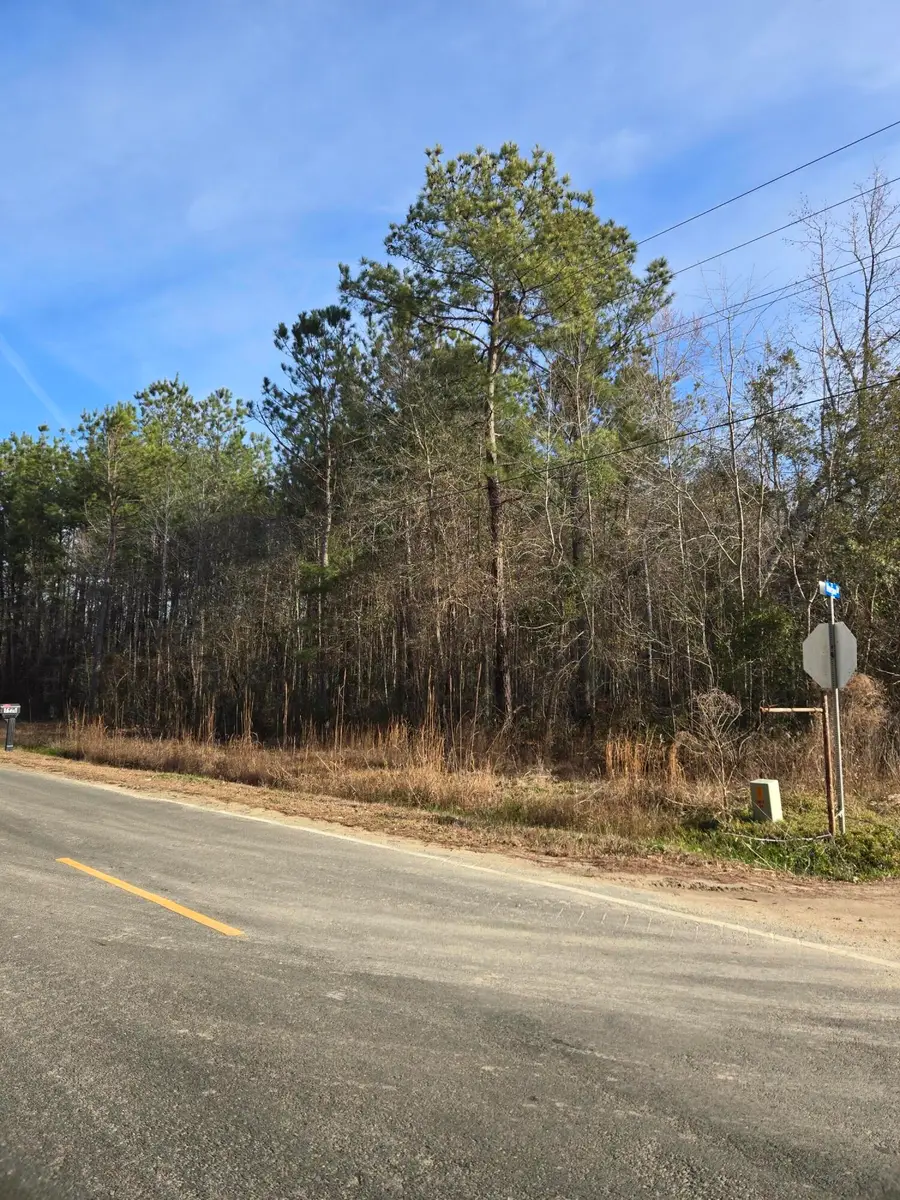 0 Whitestone Drive, Reevesville, SC 29471 - #2