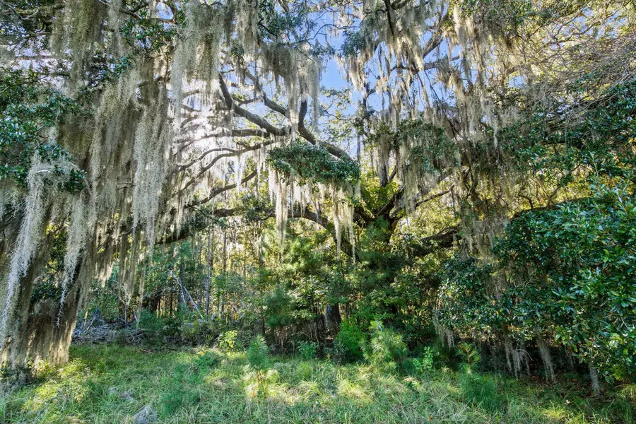 2476 Joseph Pearline Road, Johns Island, SC 29455 - #2