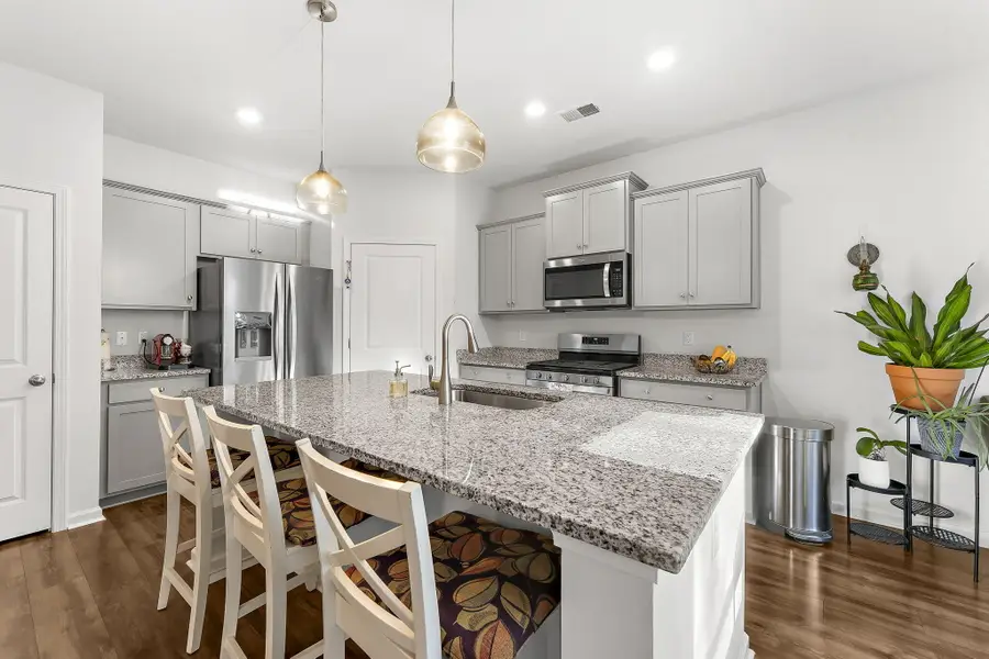 1035 Sago Palm Court, Mount Pleasant, SC 29466 - #2