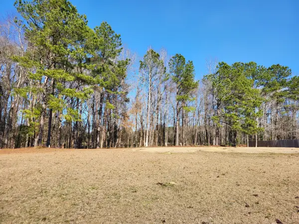 Lot 2 Lot 2 Santee Lumber Road, Santee, SC 29142