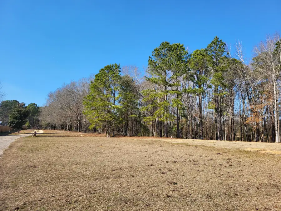 Lot 2 Santee Lumber Road, Santee, SC 29142 - #2