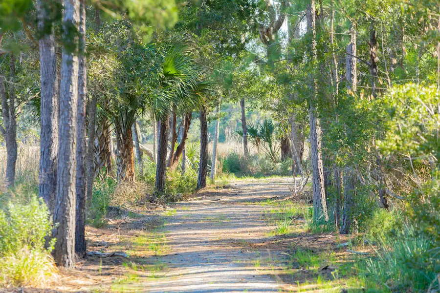 1572 John Fenwick Lane, Johns Island, SC 29455 - #3