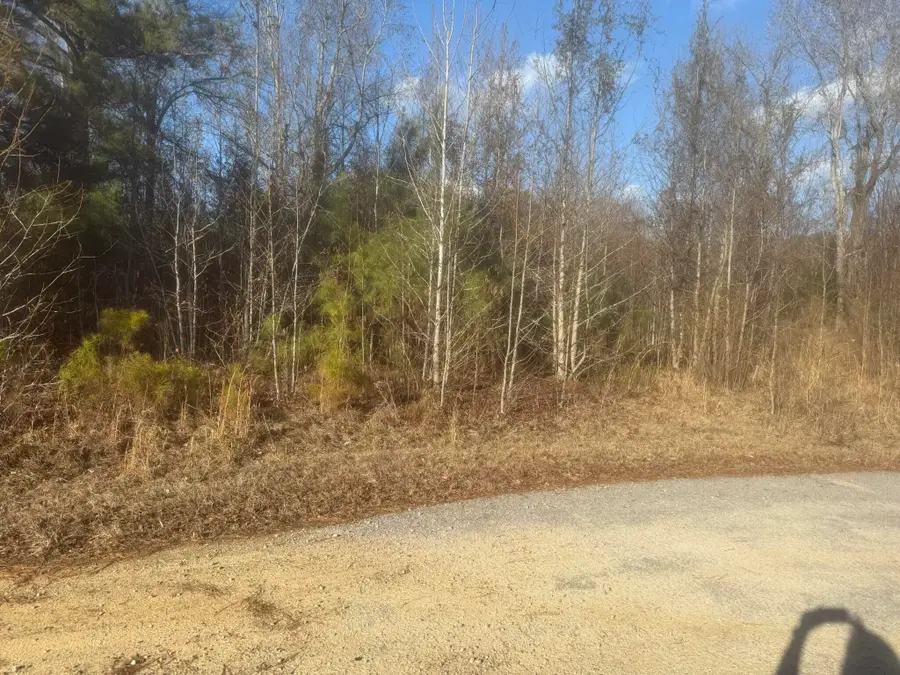 000 Flake Road, Orangeburg, SC 29115 - Image #2