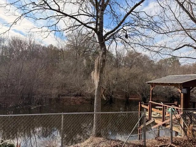 218 Cat Hole Lane, Branchville, SC 29432 - Image #2