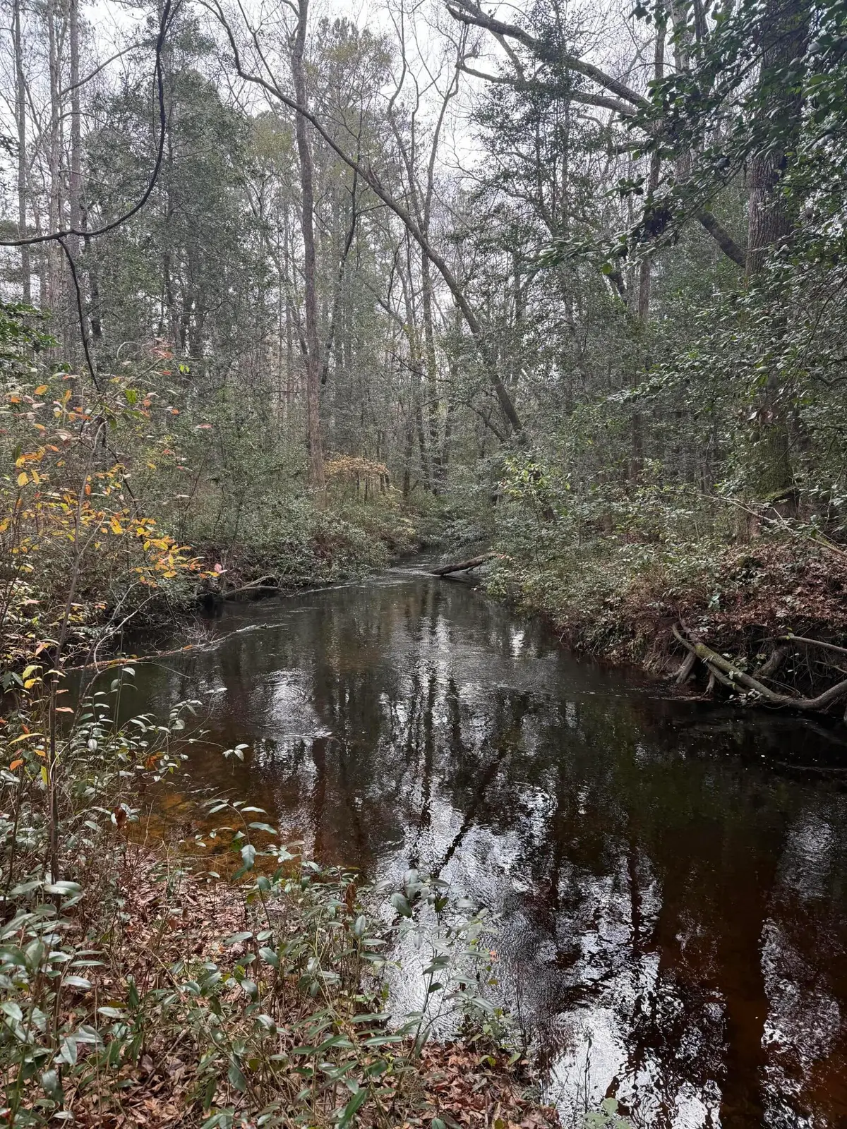 675 Vaughns Mill Pond Road, Camden, SC 29020 - Image #1